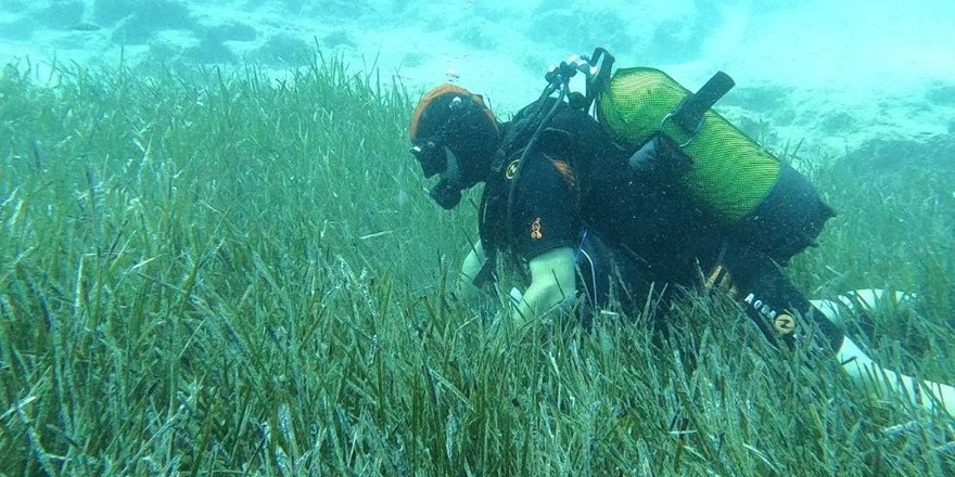 Mavi Nefes’ten Denizlere 14 Bin Yeni Oksijen Kaynağı