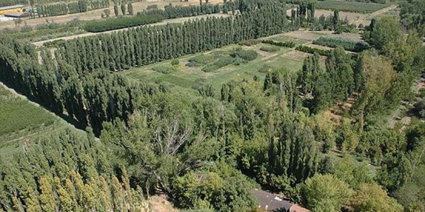 Atatürk Orman Çiftliği'nde rezidans ve AVM planına ret
