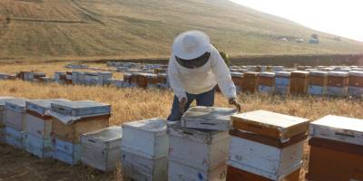 Balparmak, İhracat Birinciliğini Perçinledi
