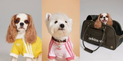 adidas Originals Yeni Pet Koleksiyonu Satışta